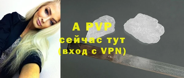 эйфоретик Инсар