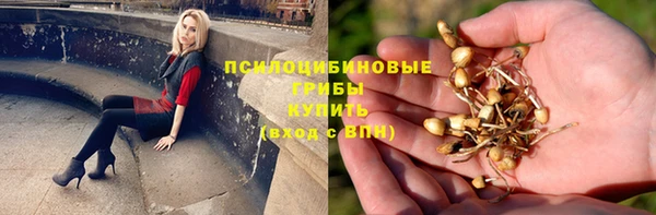 дурь Инта